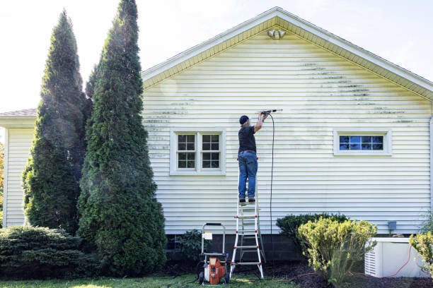 Best Driveway Cleaning and Restoration in Pantego, TX